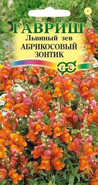 ФОТОГРАФИЯ Львиный зев Абрикосовый зонтик, 0,1 г