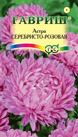 ФОТОГРАФИЯ Астра Серебристо-розовая 0,3 г, розовидная