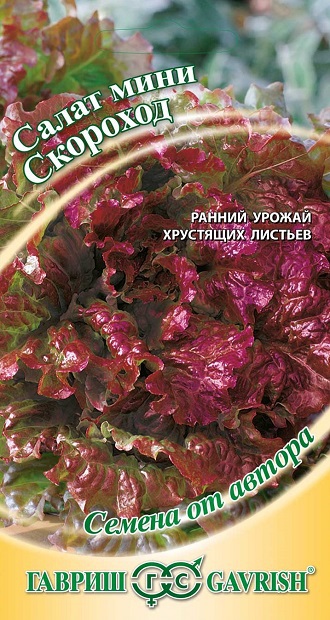 ТОП-10 зеленых ингредиентов для салата