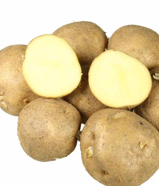 Купить семена Картофель Колобок, 0,025 г по лучшей цене с доставкой поМоскве и РФ